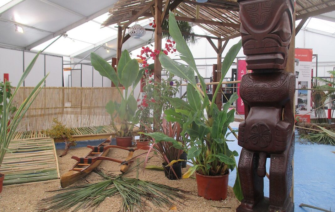 Un jardin polynésien au Chorus de Vannes