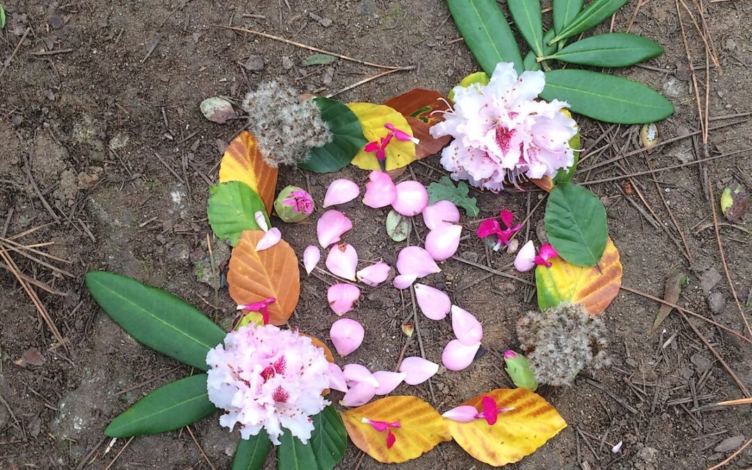 Initiation au Land Art pour les 3ème rouge