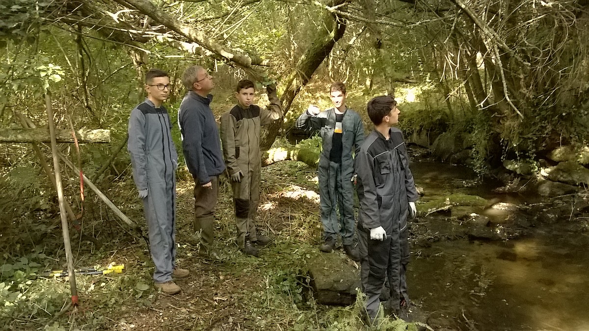 Les Seconde NJPF découvrent la vie de la rivière