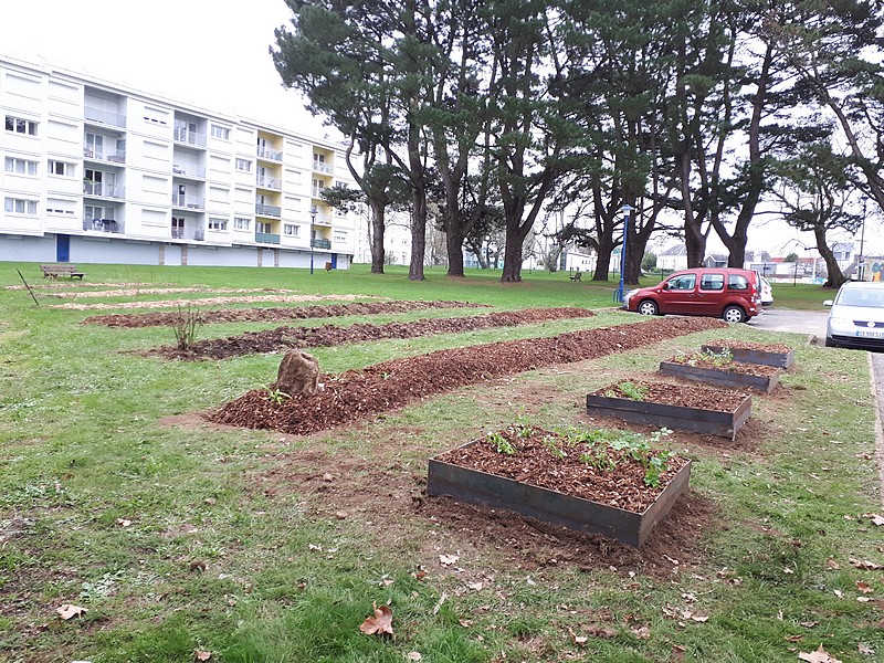 La permaculture s’installe au Parco Pointer à Auray