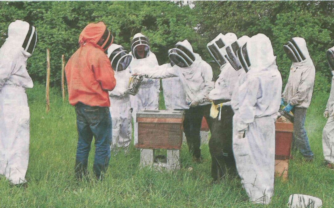 Apiculture. Kerplouz s’ouvre aux abeilles