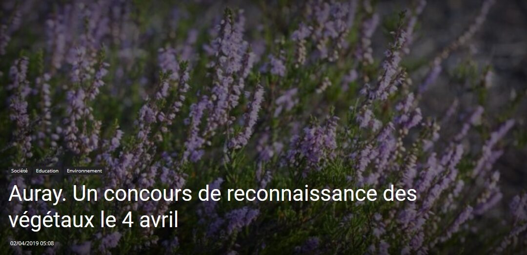 Auray. Un concours de reconnaissance des végétaux le 4 avril