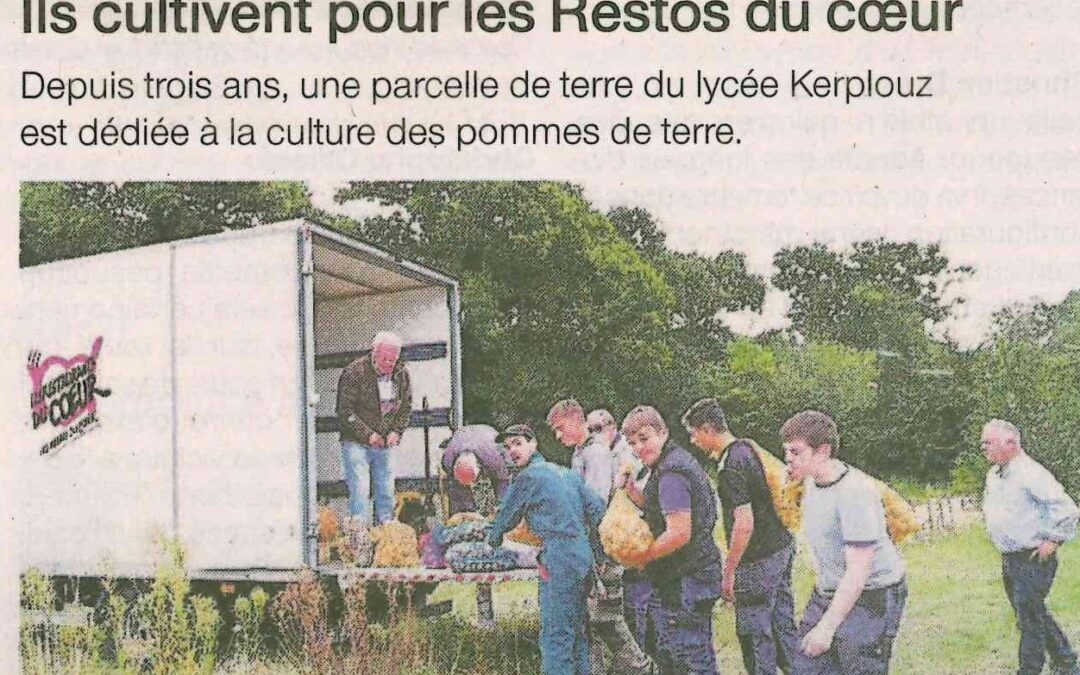 Restos. Des pommes de terre de Kerplouz