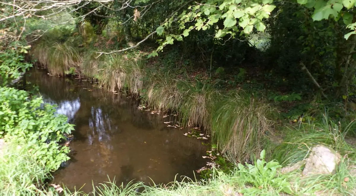 Les 2nde NJPF en action lors de leur stage collectif