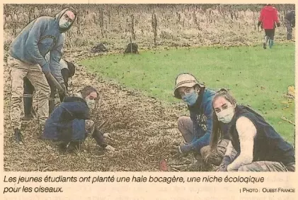 Plescop : Une haie bocagère créée par les étudiants (pour le 2ème article : cliquez sur l’image pour accéder au site)