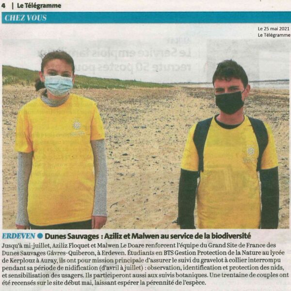 Dunes sauvages : Aziliz et Malwen au service de la biodiversité (1 article Le Télégramme + 1 article Ouest-France)