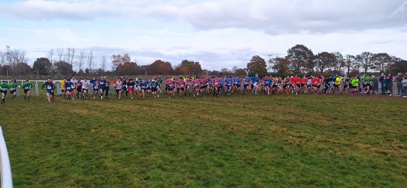 Départemental de cross country à Questembert