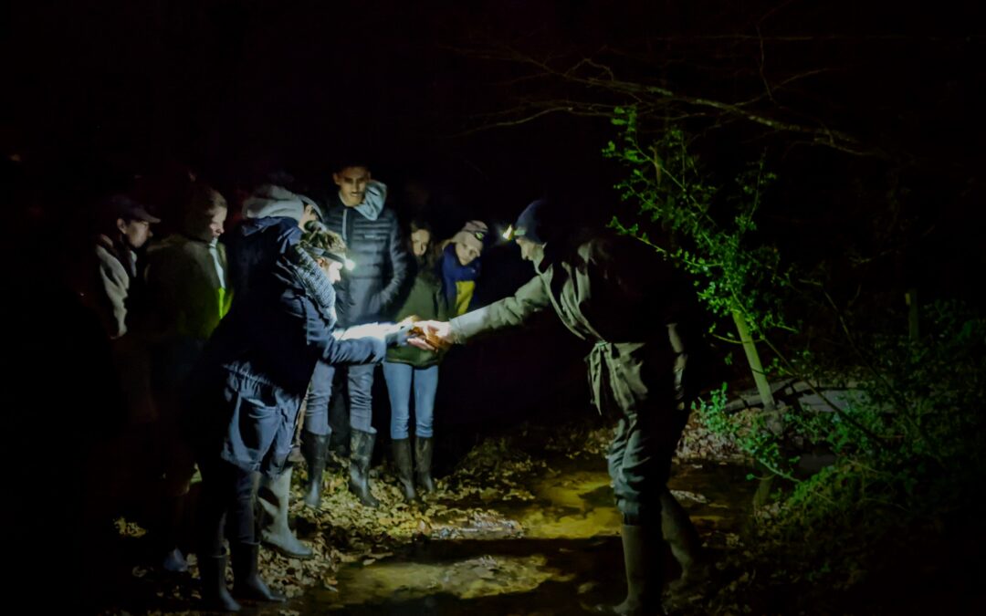 À la rencontre des autres vivants – Sortie nocturne sur les berges du Gouah Lanvel, BTS GPN1