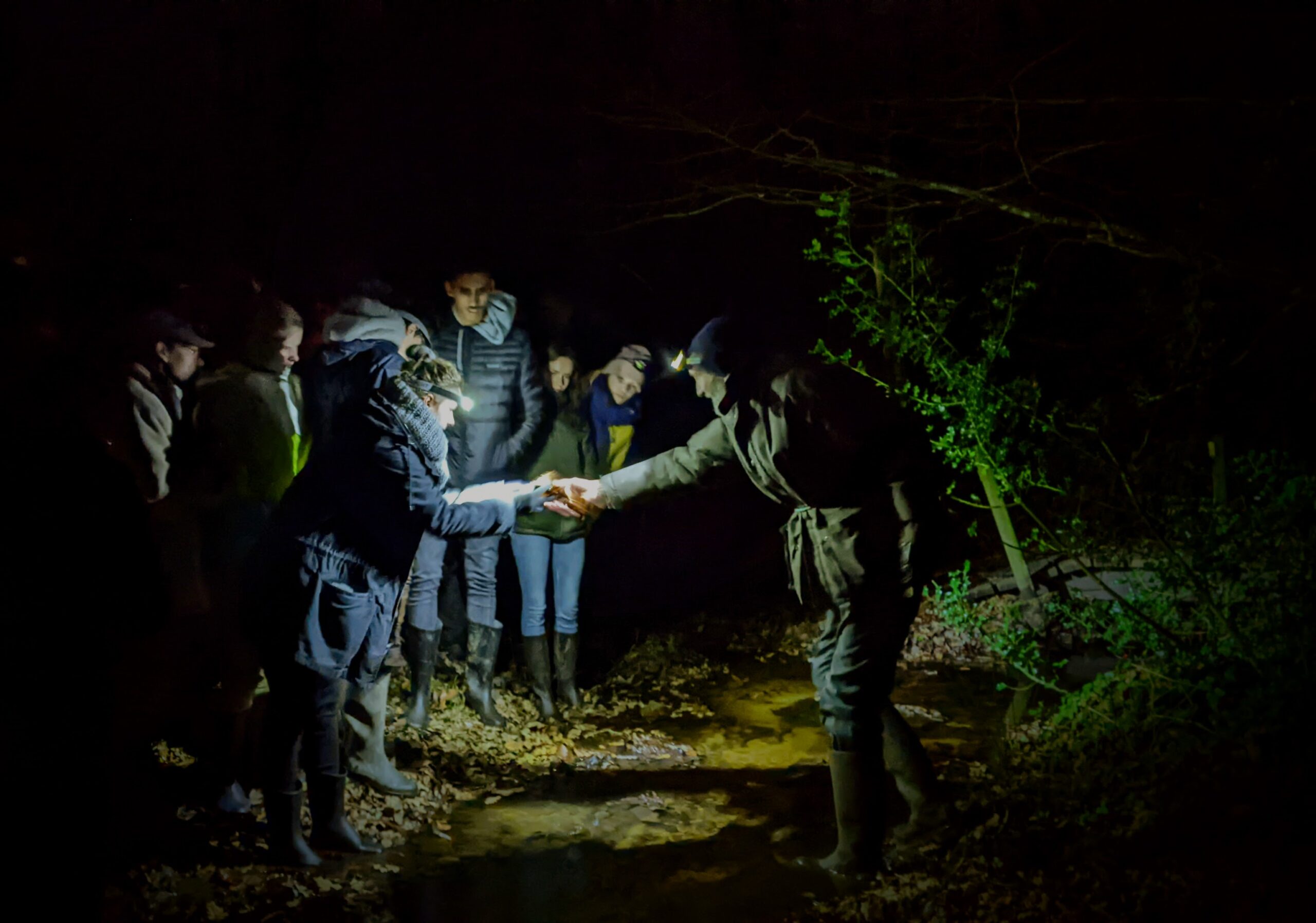 À la rencontre des autres vivants – Sortie nocturne sur les berges du Gouah Lanvel, BTS GPN1