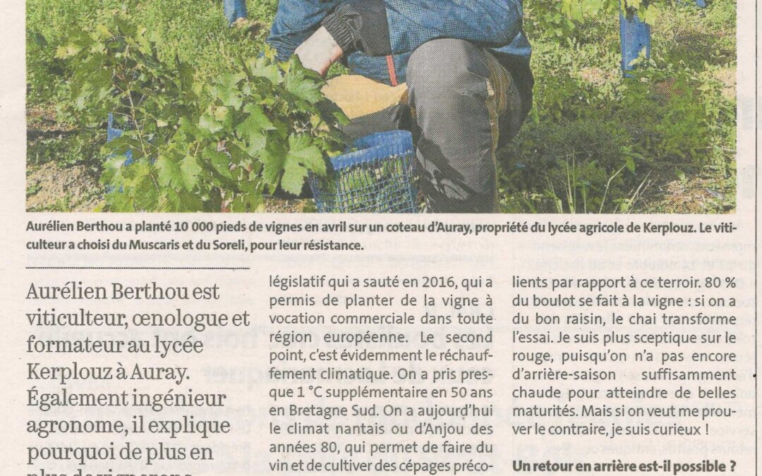 « C’est sûr, la viticulture va se développer »