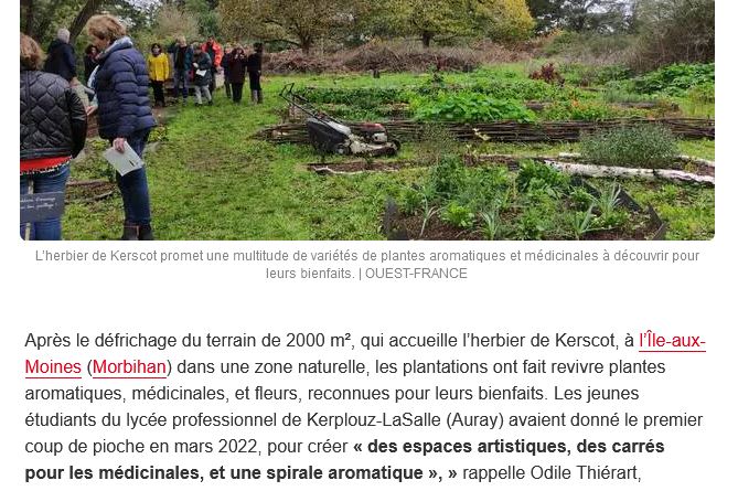 Île-aux-Moines. L’herbier de Kerscot, un lieu de biodiversité