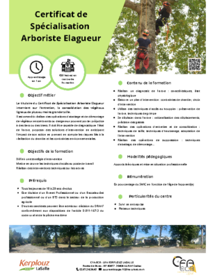 Fiche formation CS Arboriste Elagueur App