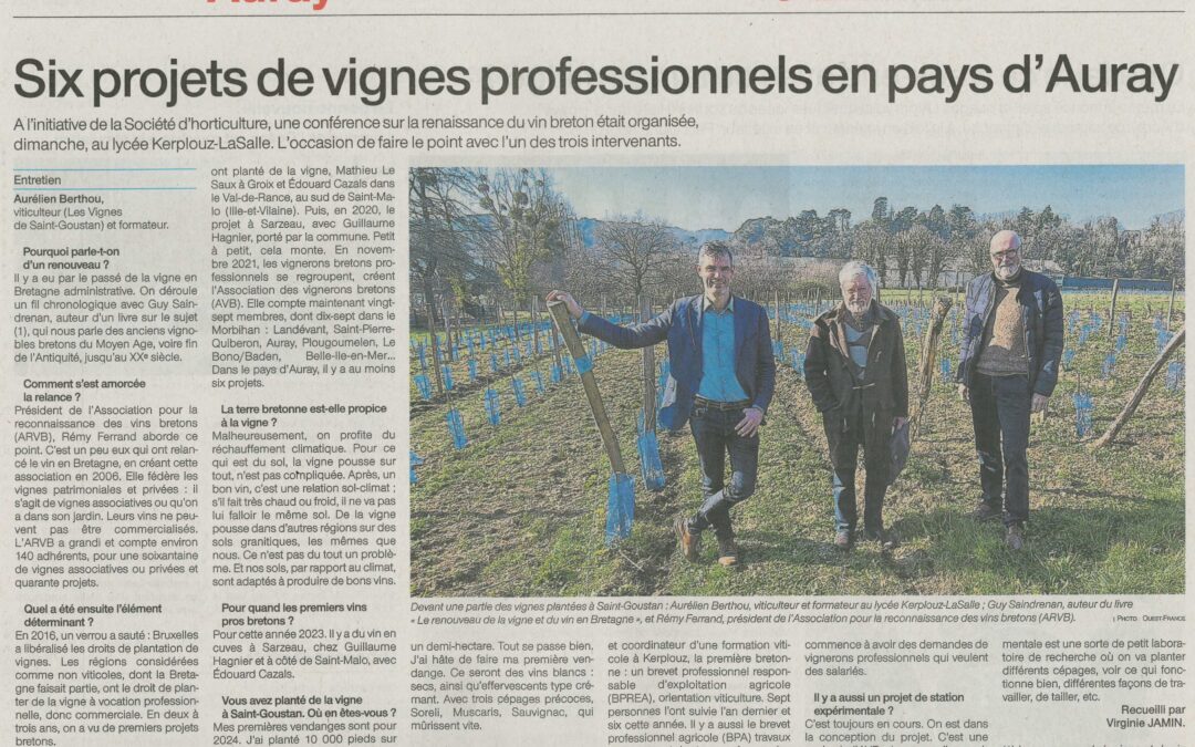 Six projets de vignes professionnels en pays d’Auray