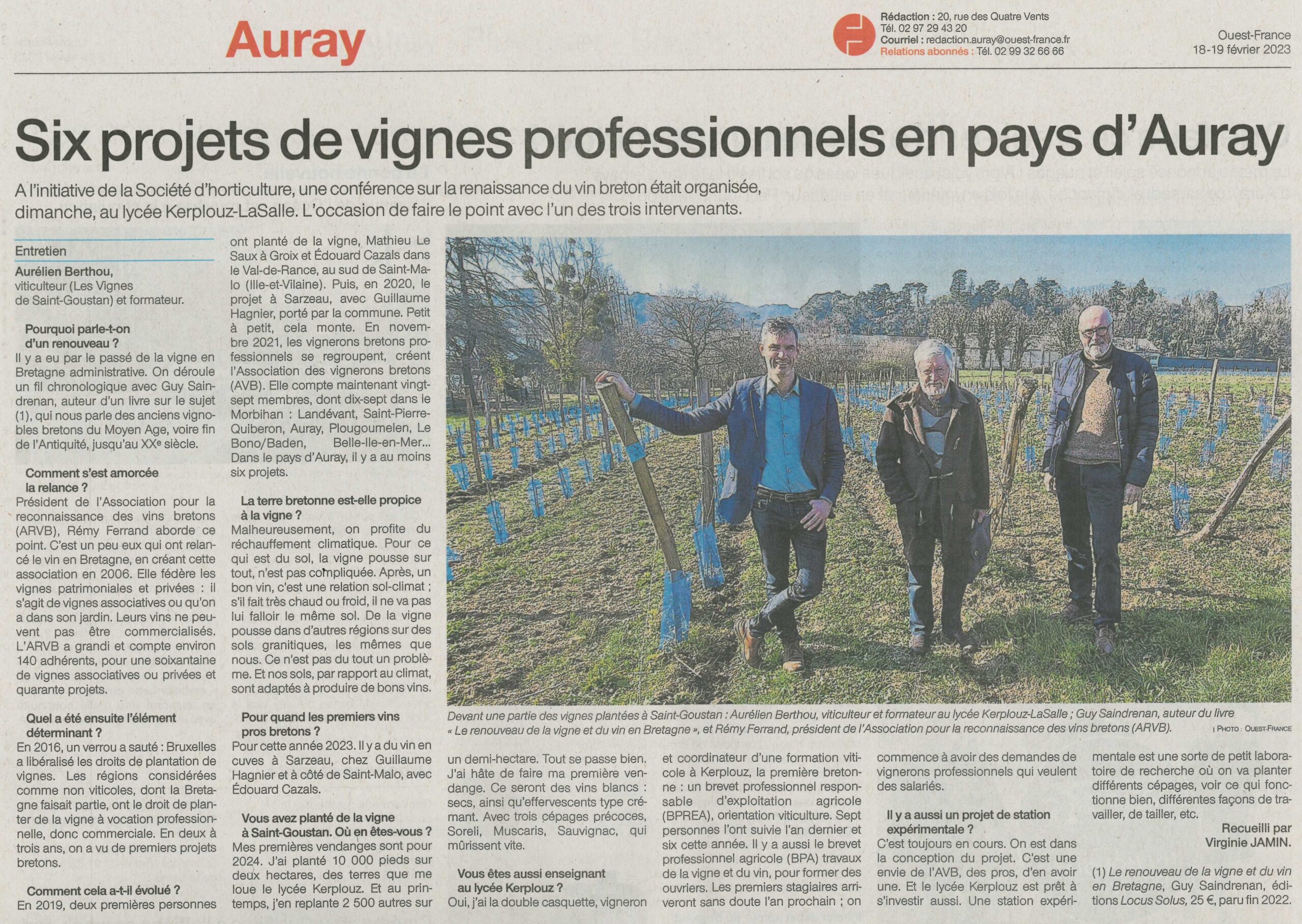 Six projets de vignes professionnels en pays d’Auray