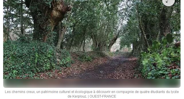 Le Bono. A la découverte des chemins creux de la commune