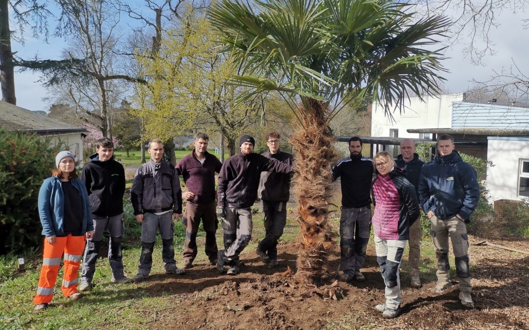 La palme d’or pour les apprentis BP AP en 1 an