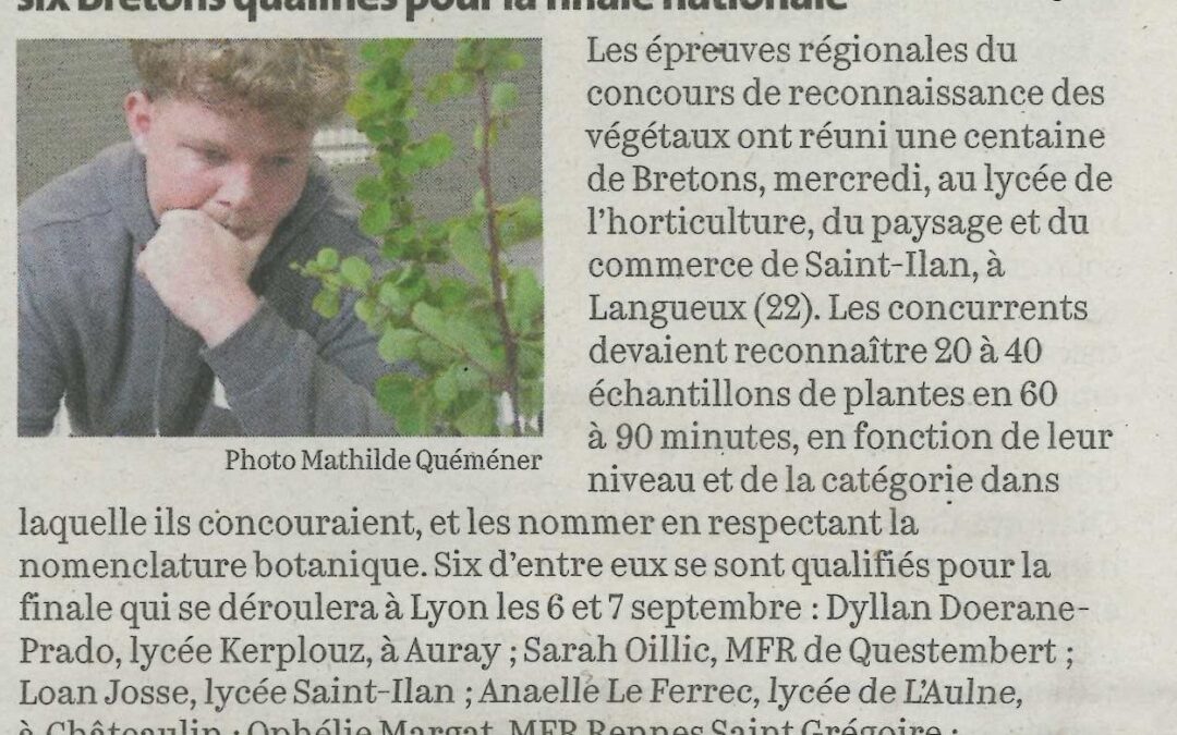 Concours de reconnaissance des végétaux : six Bretons qualifiés pour la finale nationale