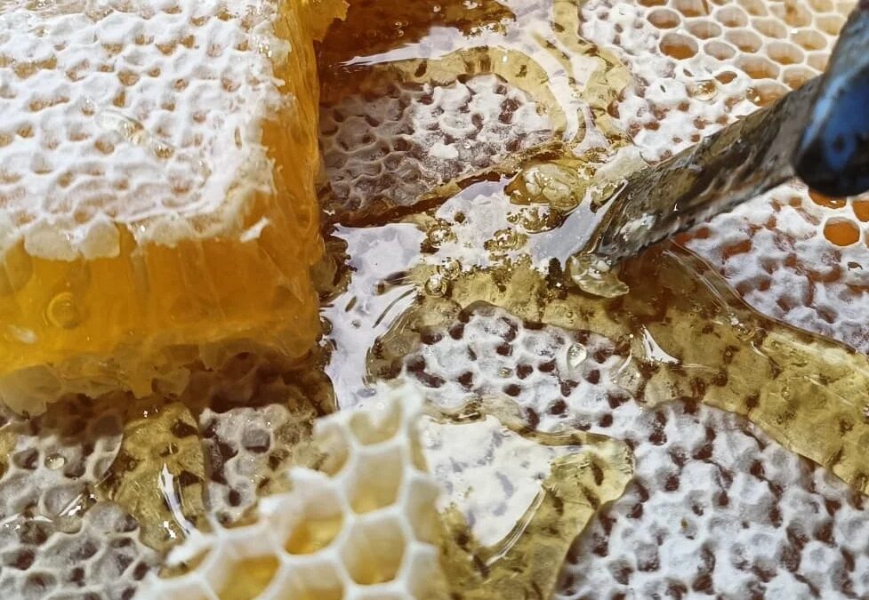 Les apiculteurs en action dans la cuisine pédagogique !