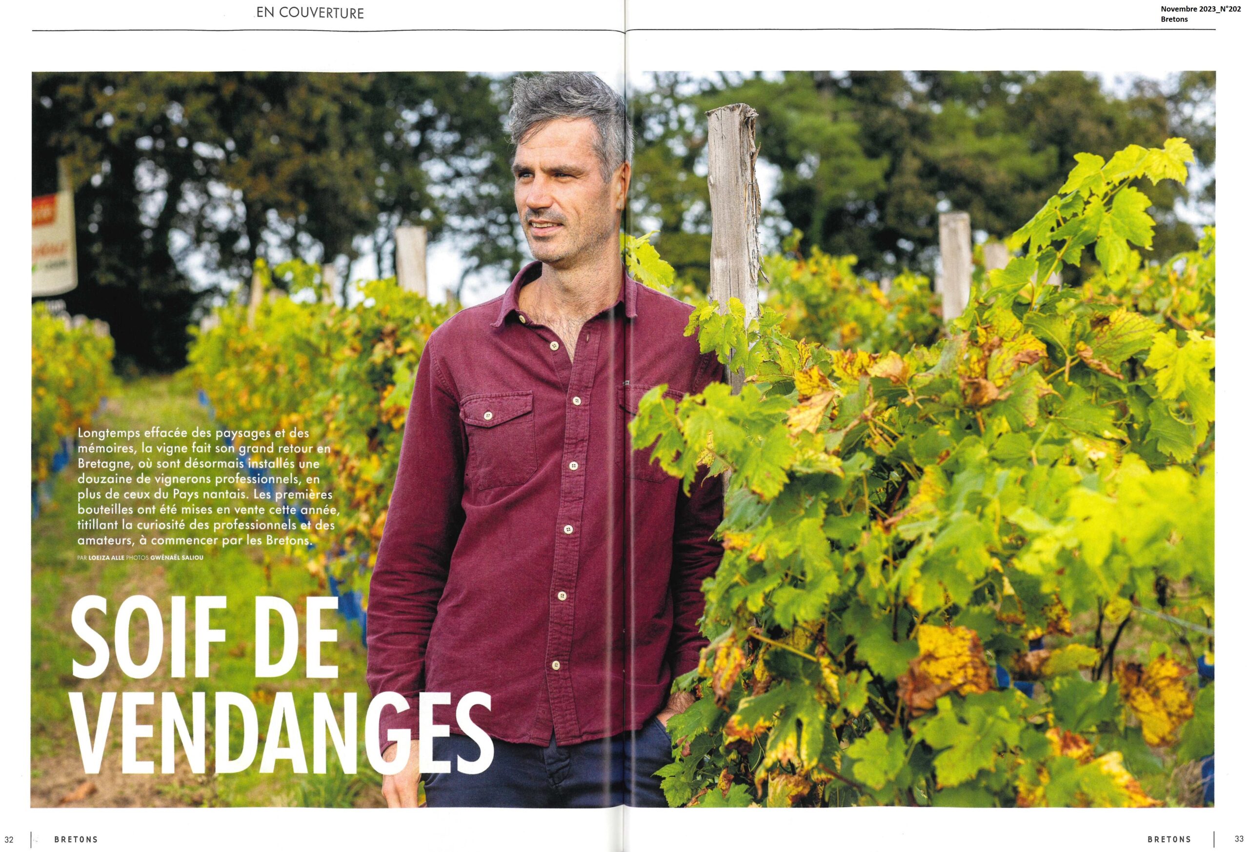 Soif de vendanges