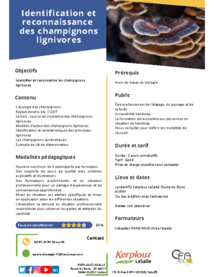 Reco et identification des champignons lignivores