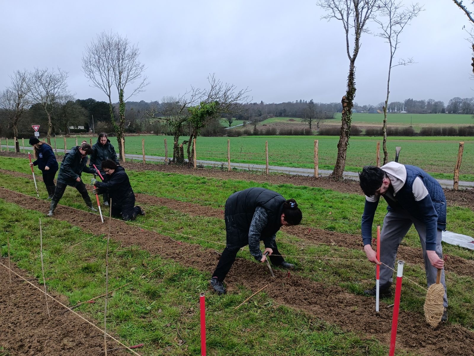 Taille de vigne et plantation pour nos formations viticoles