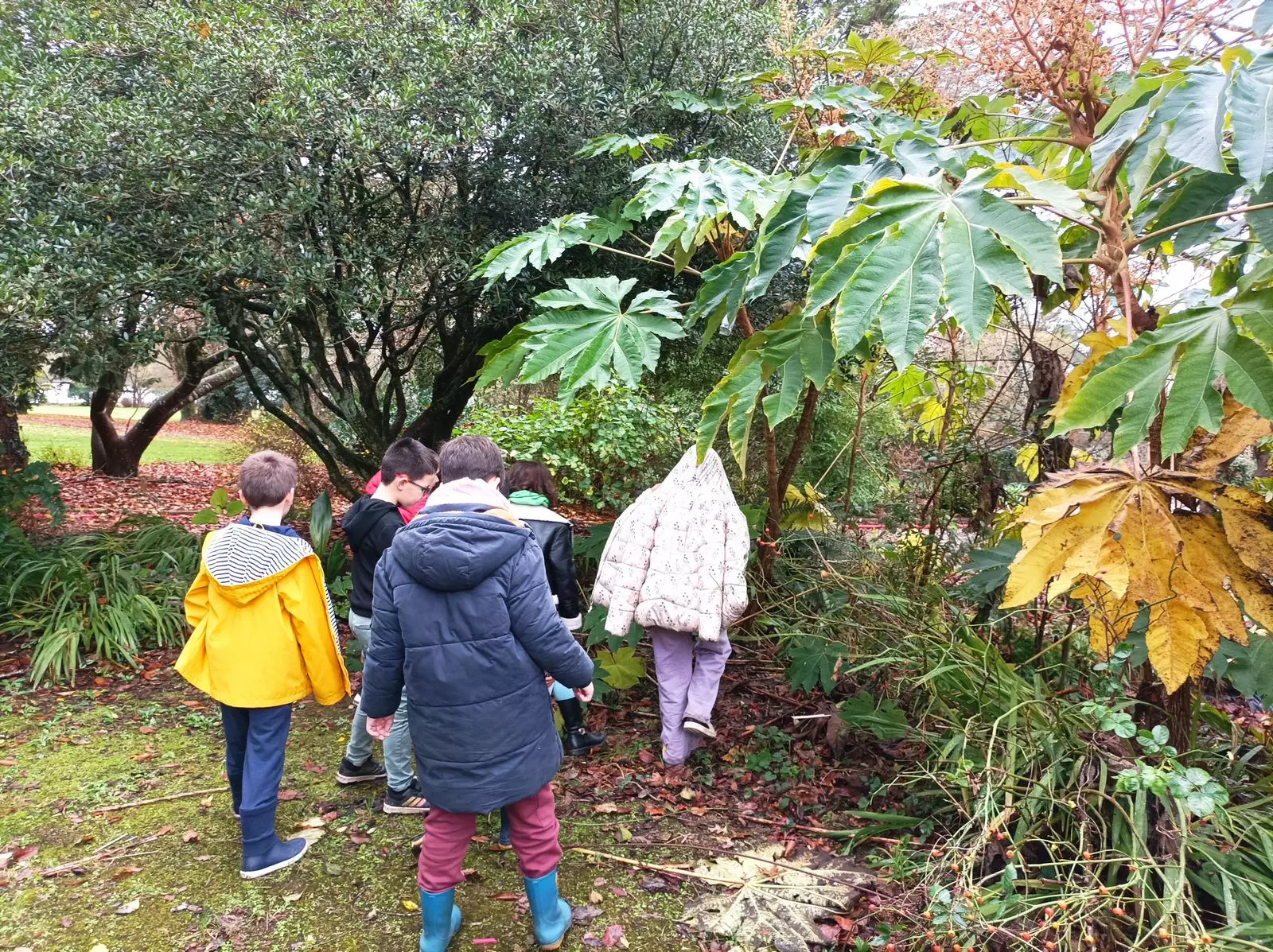 Une chasse au trésor organisée par les BTS AP 1