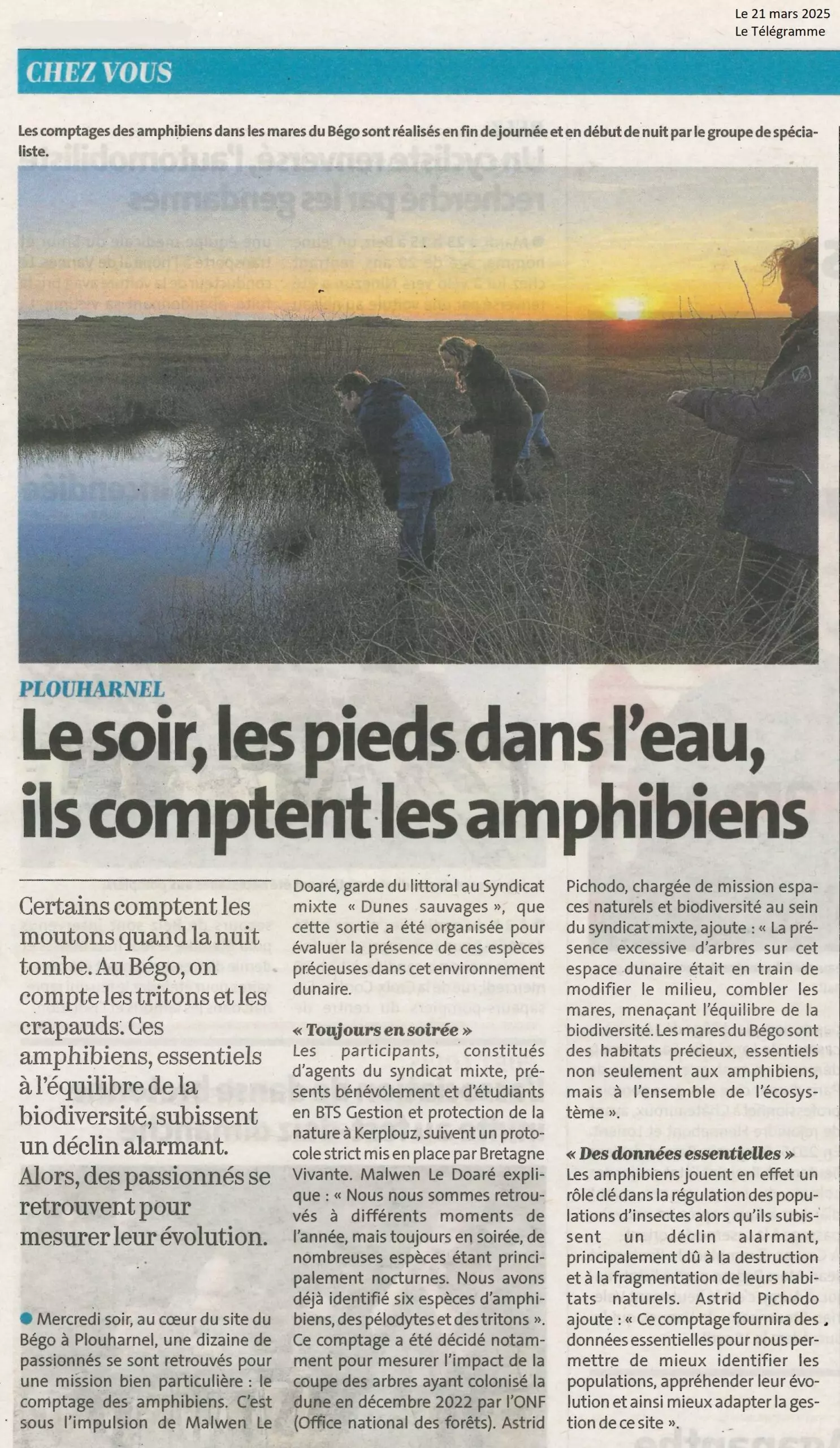 Le soir, les pieds dans l&rsquo;eau, ils comptent les amphibiens