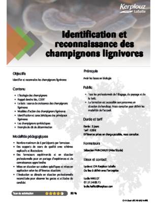 RECONNAISSANCES DES CHAMPIGNONS LIGNIVORES