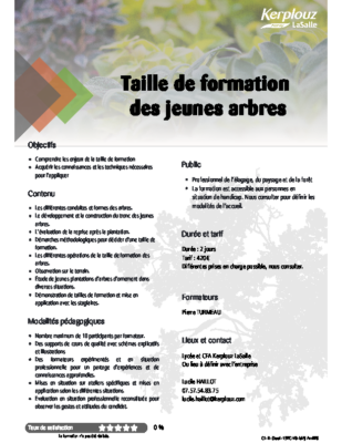 TAILLE DE FORMATION DES JEUNES ARBRES