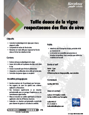 TAILLE DOUCE DE LA VIGNE