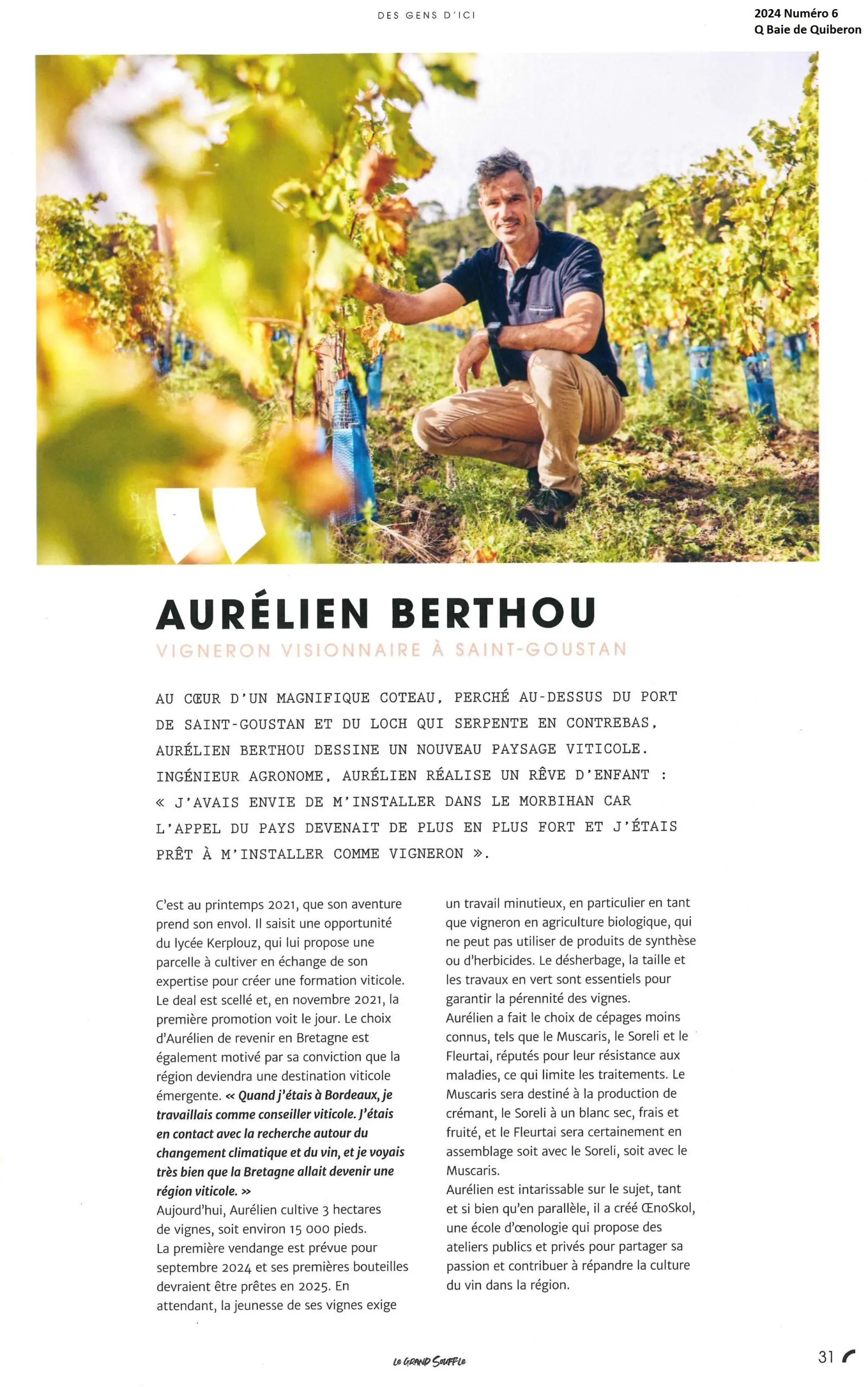 Aurélien Berthou, vigneron visionnaire à Saint-Goustan