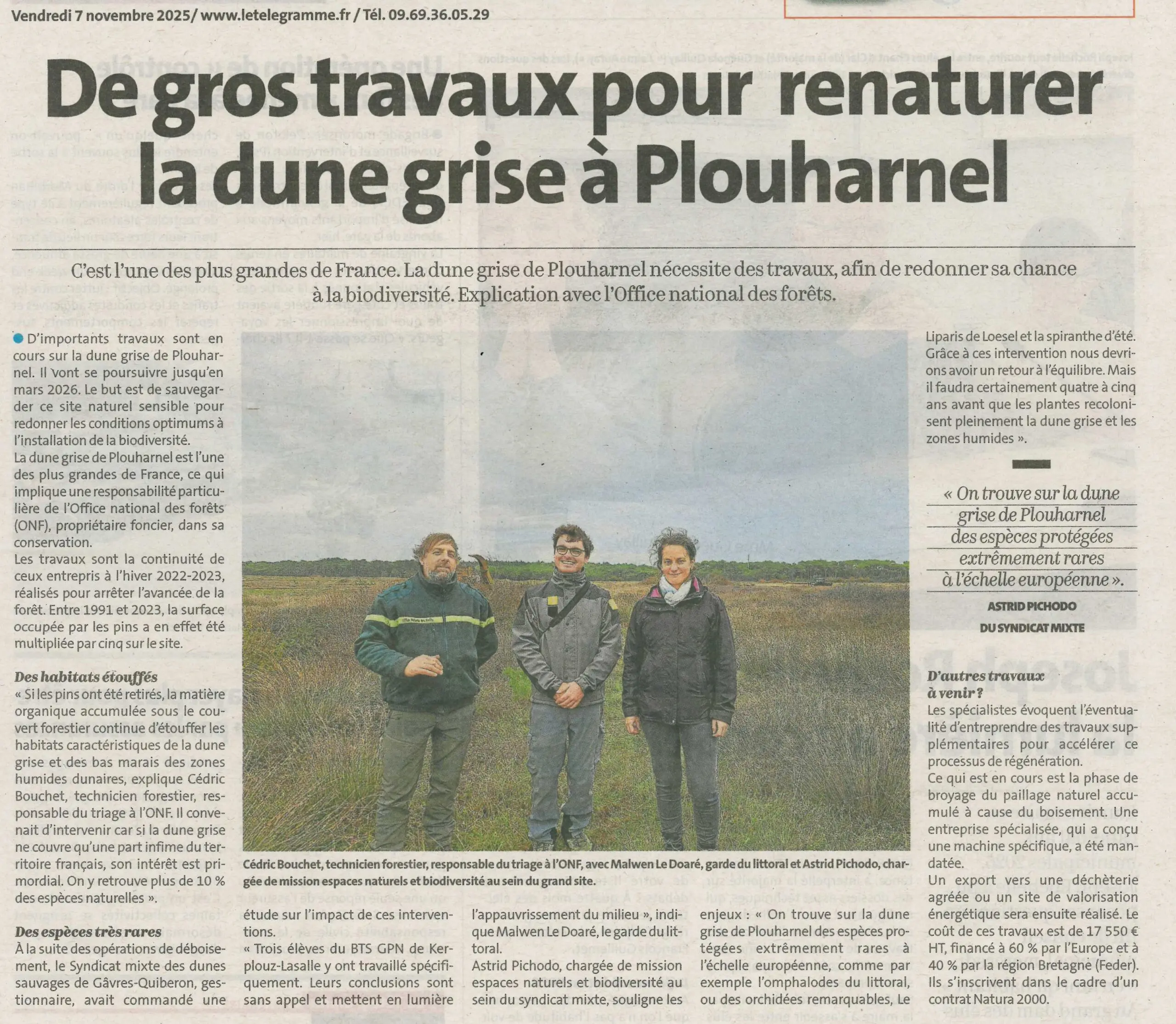 De gros travaux pour renaturer la dune grise &agrave; Plouharnel