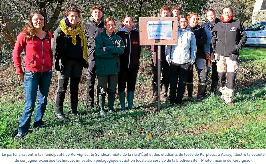 « C’est une opportunité à la fois pédagogique et environnementale » : à Kervignac, des étudiants du lycée Kerplouz d’Auray restaurent la nature
