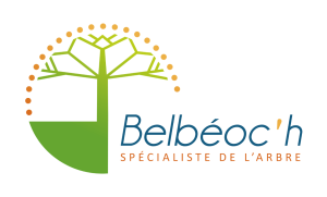 logo-belbeoch-copie-02_m_300x181